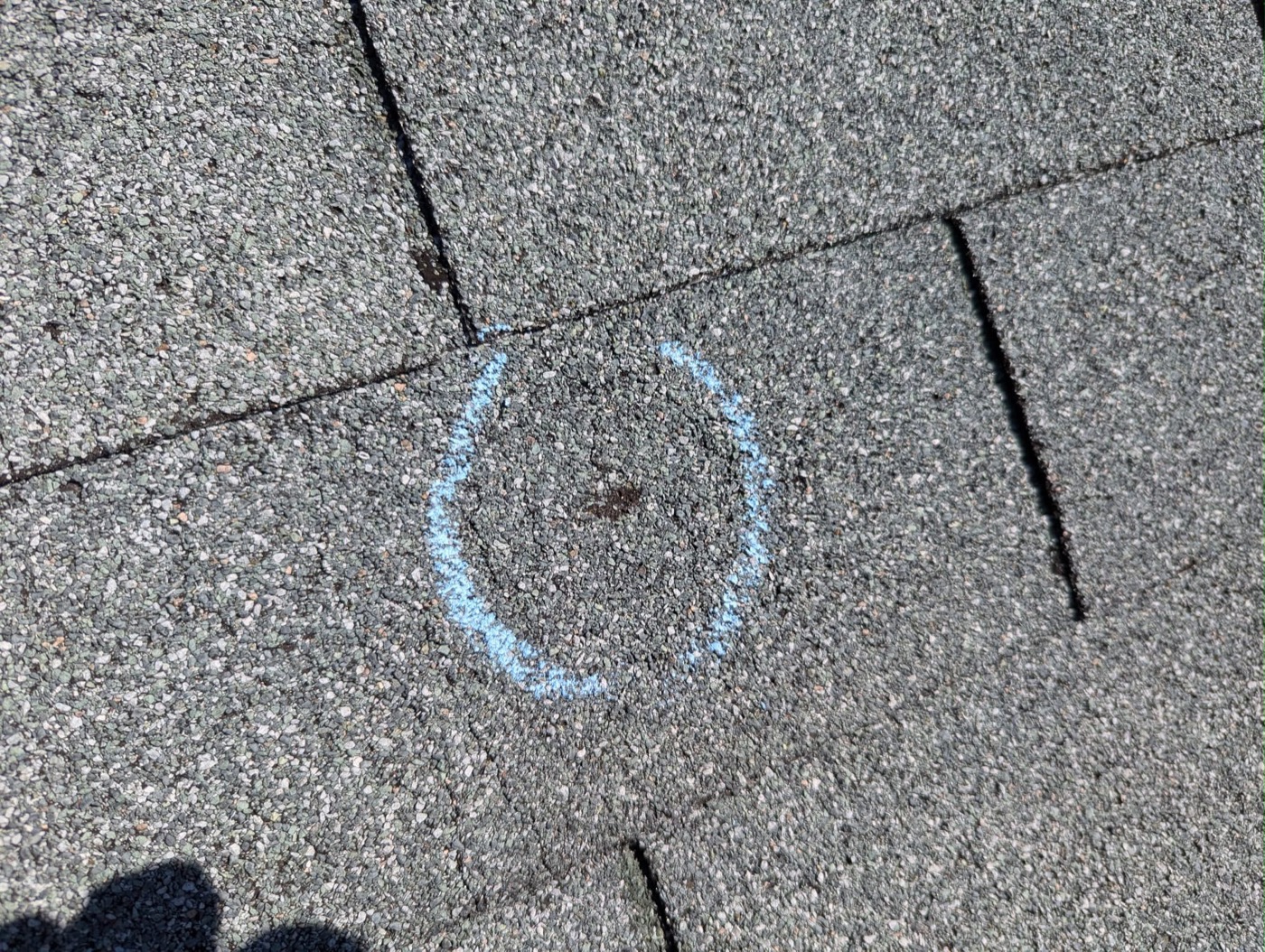 A genuine Eagle Star inspection photo: a hail impact circled in chalk on an asphalt shingle in Greater Chicagoland